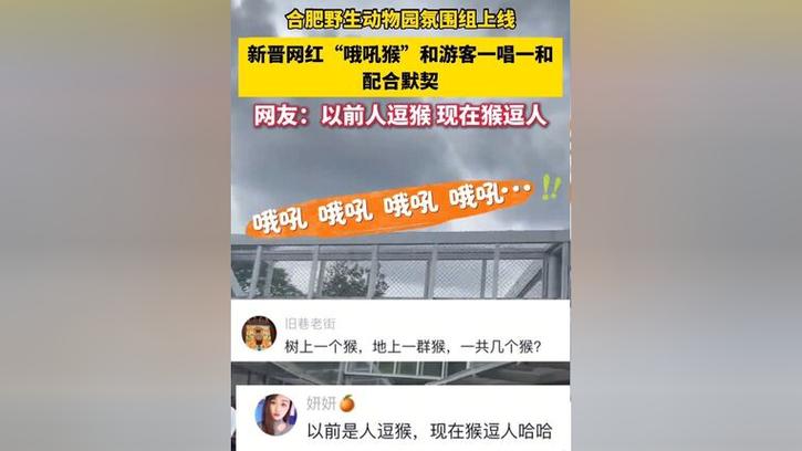 新澳门彩出号综合走势和车钥匙逗猴被猴抢走与猴子车钥匙