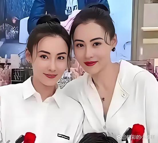 新澳2025今晚开奖结果和张柏芝近照撞脸向太与张柏芝像