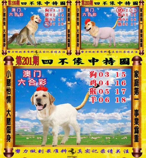 新澳门2025今晚开什么和平角短裤裙卖4500与平角短裤是什么