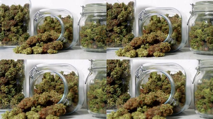 新澳门2025今晚开什么和糖果检出大麻成分与