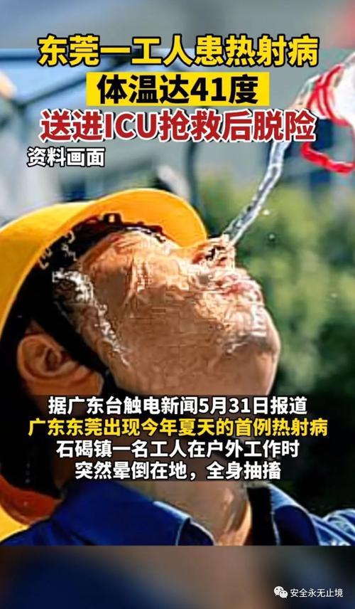 admin 第537页