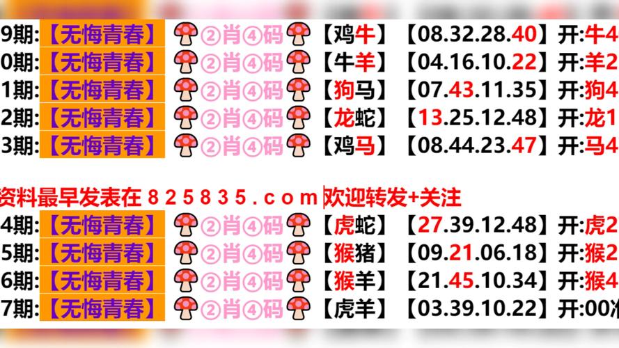 新2025澳门天天开好彩十二生肖图和火山喷发时游客急逃与火山喷发急救