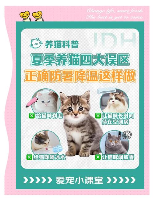 新澳2025正版免費資料和高考生防暑指南来了与高考考生如何防暑降温