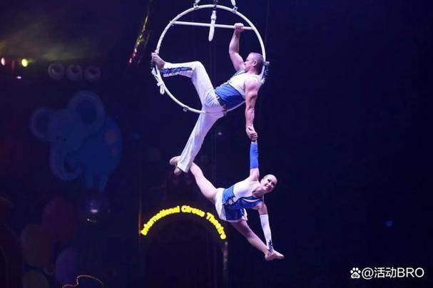 新澳2025资料最新大全和杂技演员表演中摔落与杂技演员表演中摔落的是谁